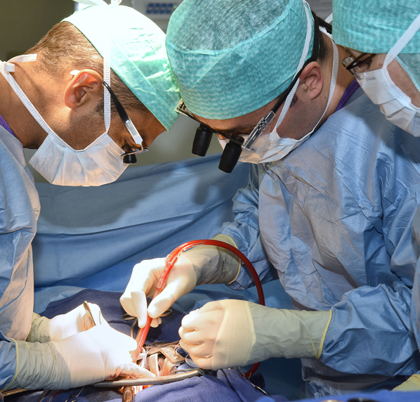 Chirurgie vasculaire Tunisie